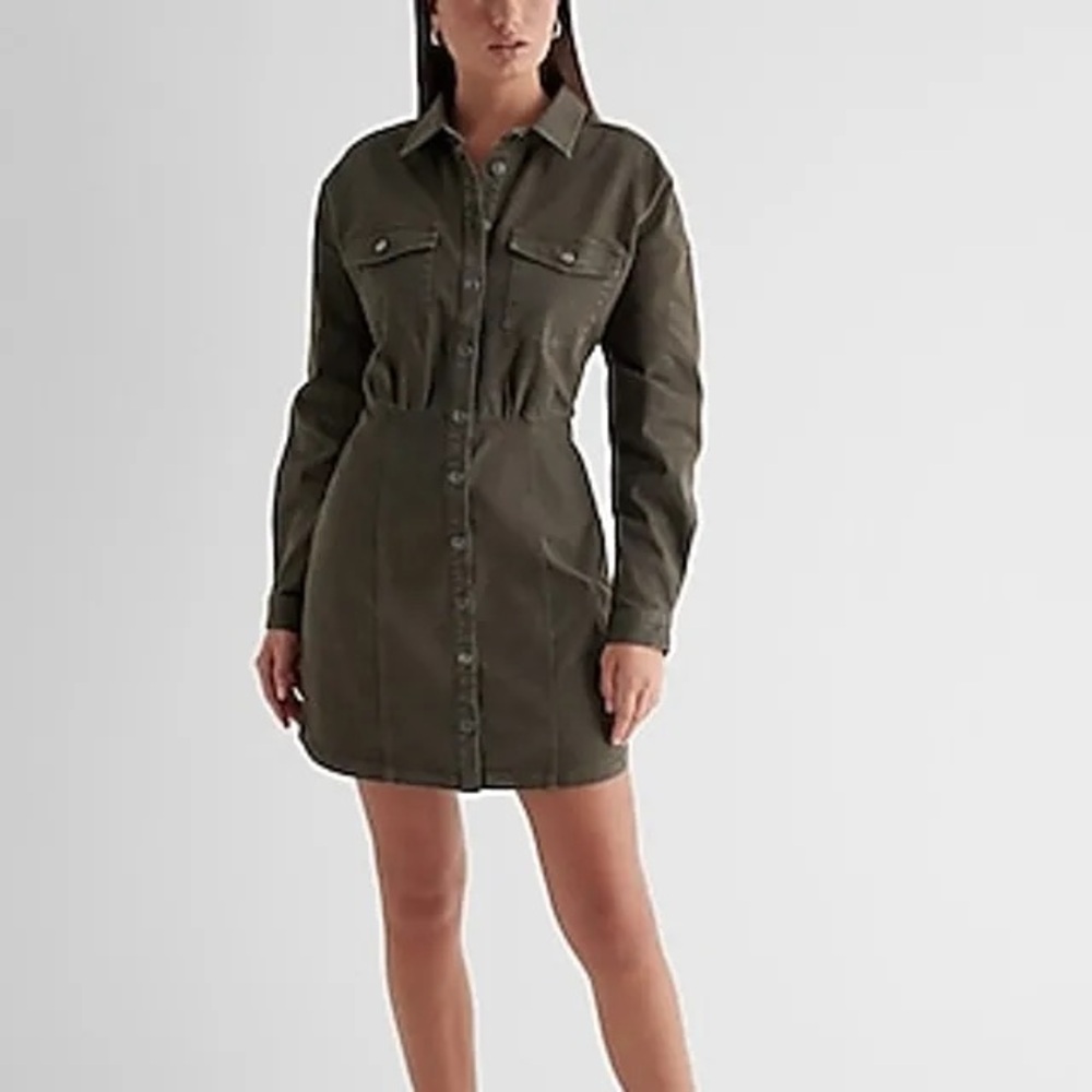 Express Olive Green Button-Front Shirt Dress